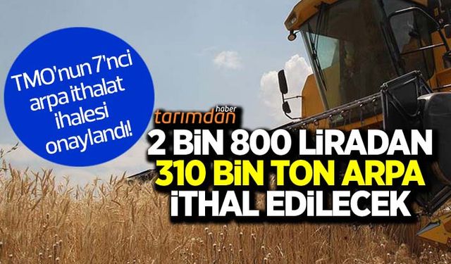 TMO 7’nci arpa ithalat ihalesini yaptı! Fiyatlar artmaya devam ediyor!