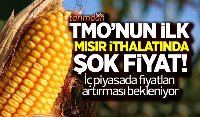 TMO’nun ilk mısır ithalatında şok fiyat!