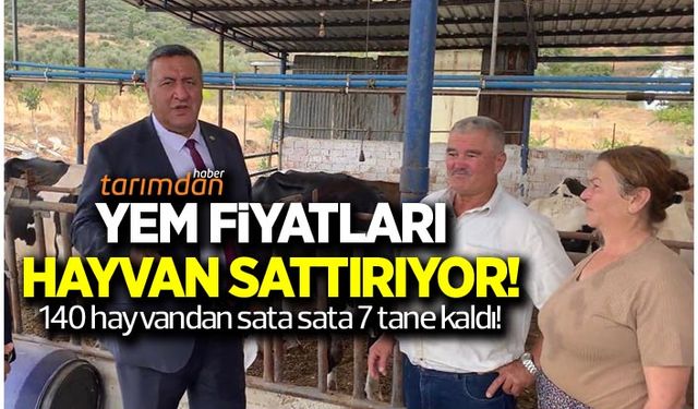 Yem fiyatları hayvan sattırıyor! 140 büyükbaş hayvanından 7 tane kaldı!