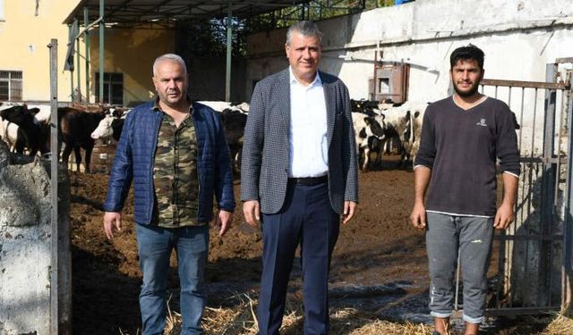 90 liralık yem 200 lira oldu!