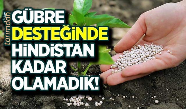 Gübre desteğinde Hindistan kadar olamadık!