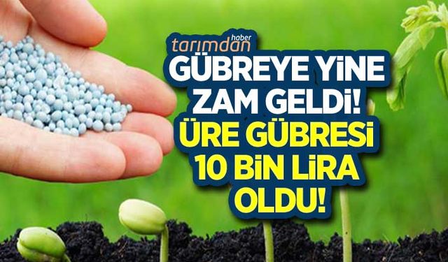 Gübre fiyatlarına bugün yine zam geldi! Üre gübresi 10 bin lira oldu!