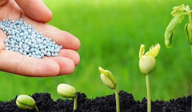 Gübre stokçuluğuyla ilgili şok iddia!