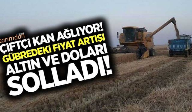 Gübredeki fiyat artışı altın ve doları solladı!