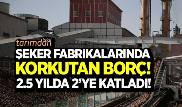 Şeker fabrikalarında korkutan borç! 2.5 yılda 2'ye katladı!