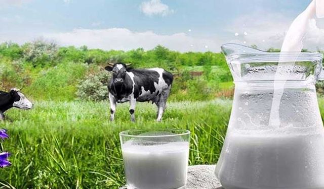 Süt desteği kapsamında Bolu'da yetiştiriciye 4.7 milyon lira ödenecek