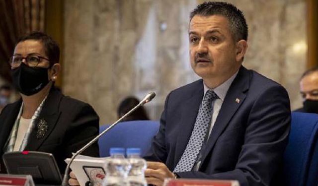 Tarım Bakanı Pakdemirli bütçede sunum yaptı