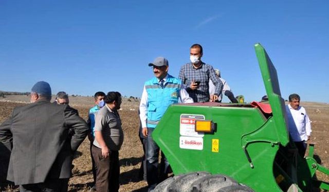 Tarım il müdürü ketencik tohumu ekti