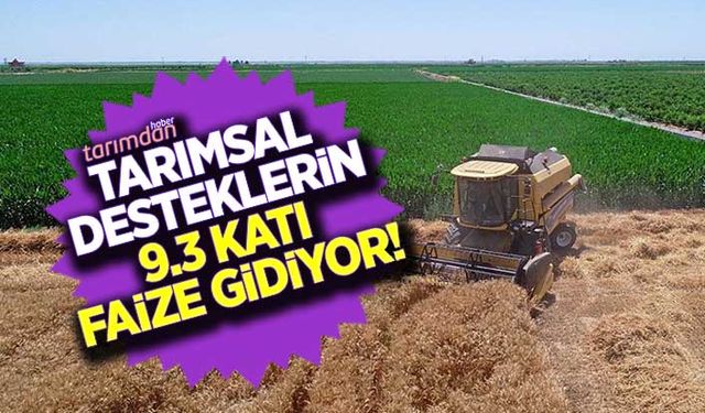 Tarımsal desteklerin 9.3 katı faize gidiyor!