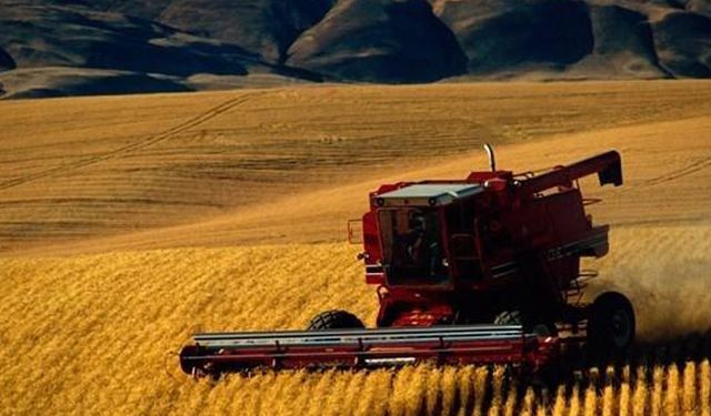 Tarımsal ihracat arttı