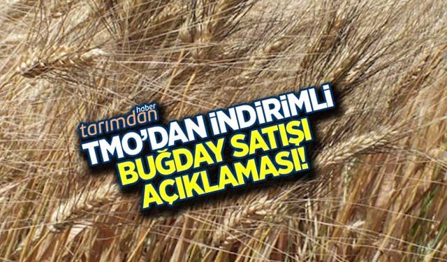 TMO'dan indirimli buğday satışı açıklaması!