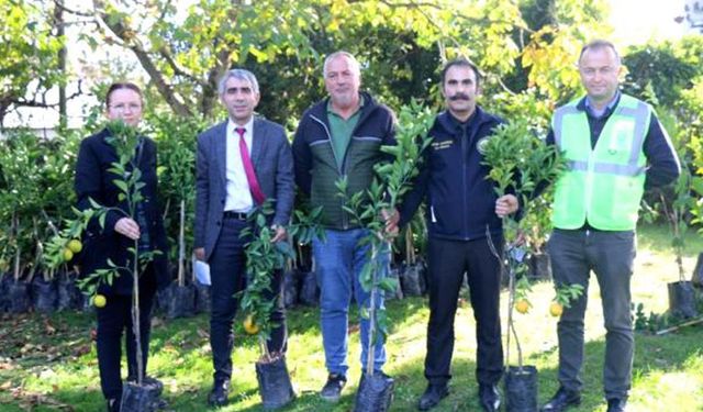 Üreticilere 2 bin adet narenci fidanı dağıtıldı