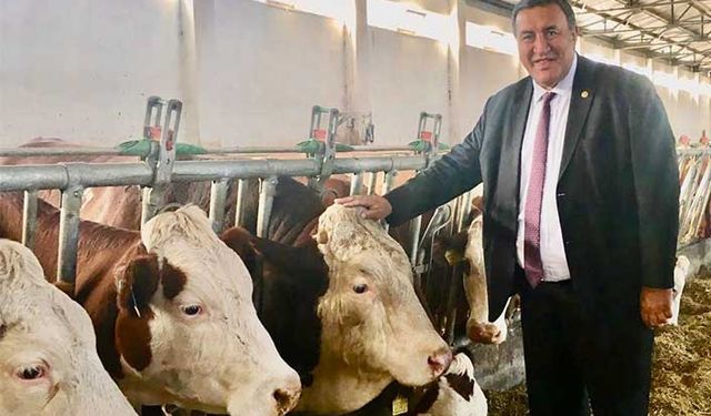 Süt fiyatlarına CHP'den tepki! 1 litre süte üretici ne kadar yem alabiliyor?