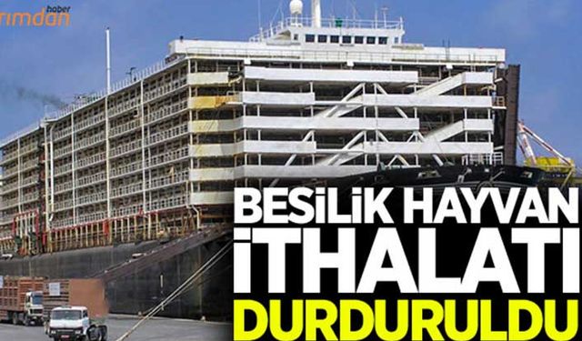 Besilik hayvan ithalatı durduruldu