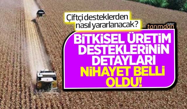 Bitkisel üretim desteklerinin detayları nihayet belli oldu! Çiftçi 2021 desteklerinden nasıl yararlanacak?