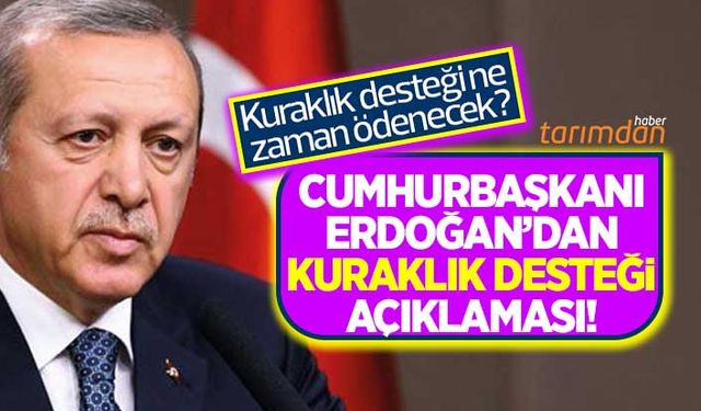 Cumhurbaşkanı Erdoğan'dan kuraklık desteği ödemesi açıklaması!