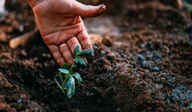 Gübrelemenin yararları nelerdir?