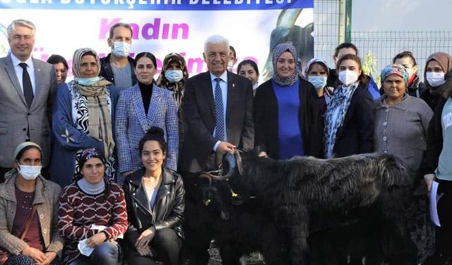 Kadın yetiştiricilere 177 kıl keçisi desteği