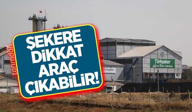 Şekere dikkat! Araç çıkabilir!