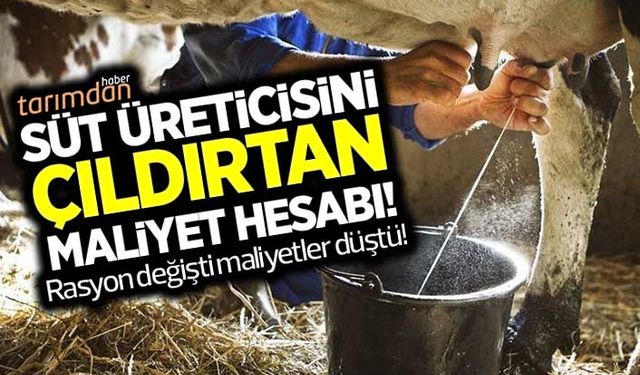 Süt üreticisini çıldırtan maliyet hesabı! Rasyon değişti maliyetler düştü!
