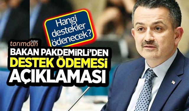 Tarım Bakanından 138 milyon liralık destek ödemesi açıklaması 