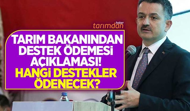 Tarım Bakanından 244 milyon liralık destek ödemesi açıklaması 