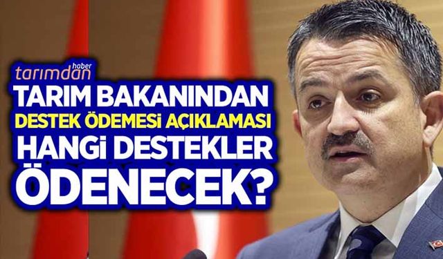 Tarım Bakanından 614 milyon liralık destek ödemesi açıklaması 
