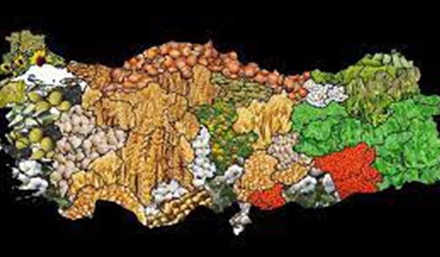 Tarım havzalarında hangi ürünlere destek verilecek? Tarım Bakanlığı liste yayınladı!