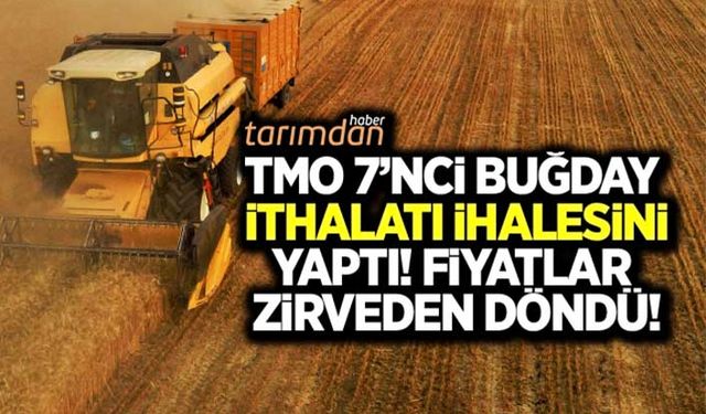 TMO 320 bin tonluk 7’nci buğday ithalatı ihalesini yaptı! Fiyatlar zirveden döndü!
