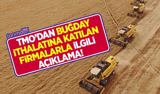 TMO'dan buğday ithalatına giren firmalarla ilgili açıklama!