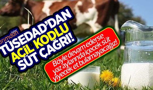 TÜSEDAD: Süt üreticisi zarar ediyor! Böyle devam ederse yaz aylarında içecek süt yiyecek et bulamayız!