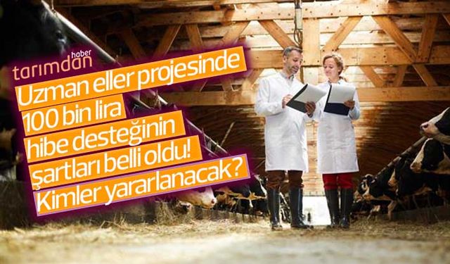 Uzman Eller Projesinde 100 bin lira hibe desteğinin şartları belli oldu! Kimler yararlanacak?