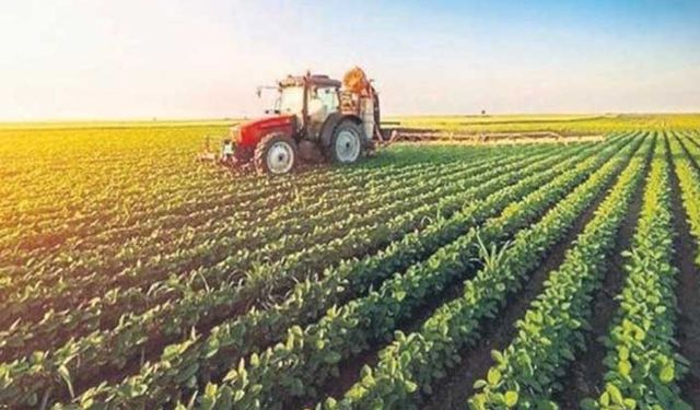 2021 yılı Mazot, Gübre ve Toprak Analizi Desteği ne kadar?