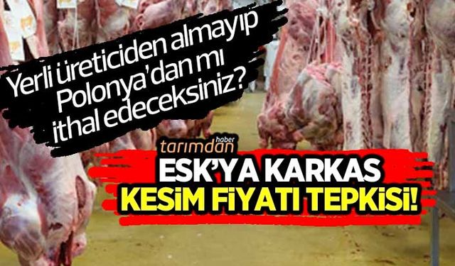 Et ve Süt Kurumuna karkas kesim fiyatı tepkisi! Yerli üreticiden almayıp Polonya'dan mı ithal edeceksiniz?