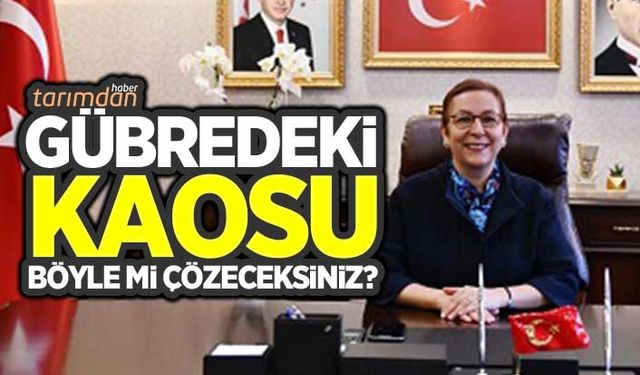 Gübre vurgununda derin sessizlik!