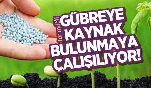 Gübreye kaynak bulunmaya çalışılıyor! 