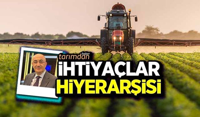 İhtiyaçlar hiyerarşisi