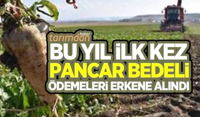 Konya Şeker Nisan'da ödenen pancar bedellerini Şubat'ta ödeyecek