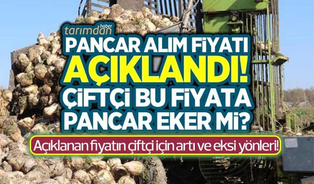 Pancar alım fiyatı açıklandı! 2022 yılı pancar alım fiyatı çiftçi için ne anlam ifade ediyor?