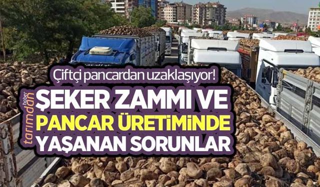 Şeker zammı ve pancar üretiminde yaşanan sorunlar!