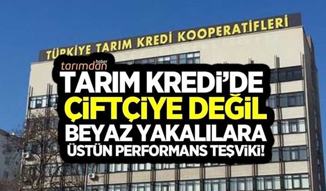 Tarım Kredi'de beyaz yakalılara performans kıyağı! 3 maaş teşvik primi için hepsi gün sayıyor!