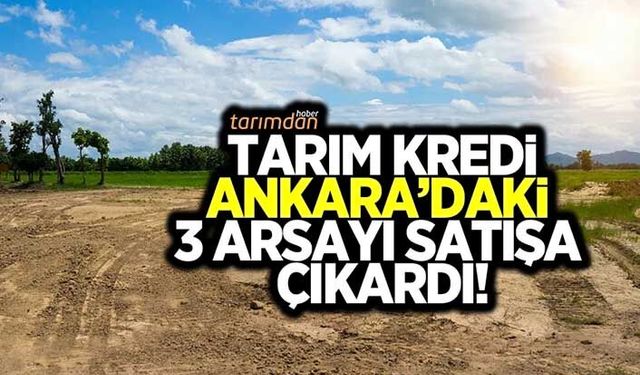 Tarım Kredi'den arsa satış ihalesi!
