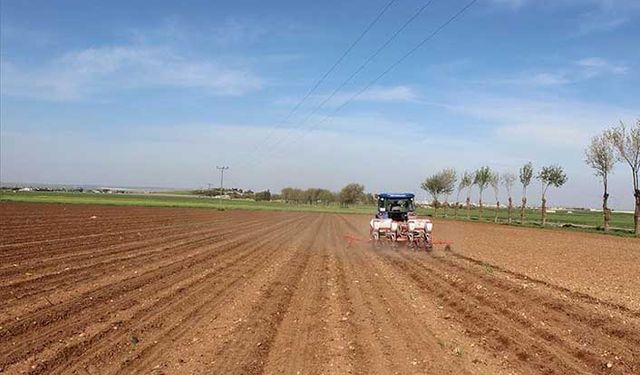 Tarım ve hayvancılık (2022 yılı) hibe destekleri! Girişimcilere 40 milyon avro, gençlere 200 milyon lira hibe desteği verilecek!