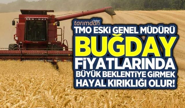 TMO eski Genel Müdürü: 'Buğday fiyatlarında esneme olur ama büyük beklenti hayal kırıklığı olur!'