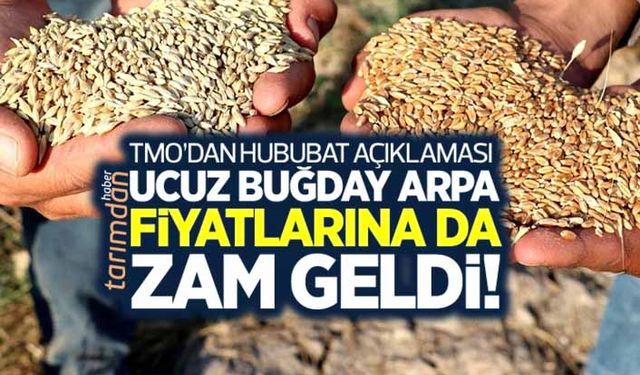 Ucuz buğday ve arpa fiyatlarına da zam geldi! TMO’dan 2022 Ocak ayı hububat açıklaması!