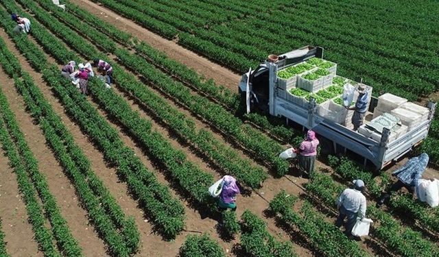 2021 üretim yılı küçük aile işletmesi desteklemesi askıya çıkarıldı