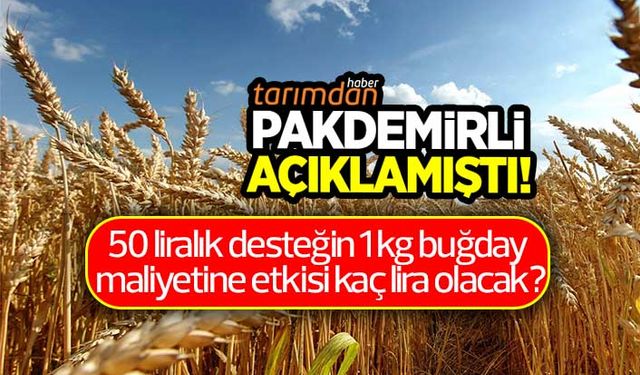50 liralık desteğin 1 kilo buğday maliyetine etkisi kaç lira olacak?