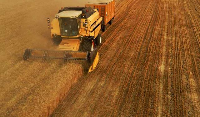 Buğday arpa fiyatı ne kadar oldu? Güncel arpa, buğday, mısır ve yulaf fiyatları (7 Şubat 2022)