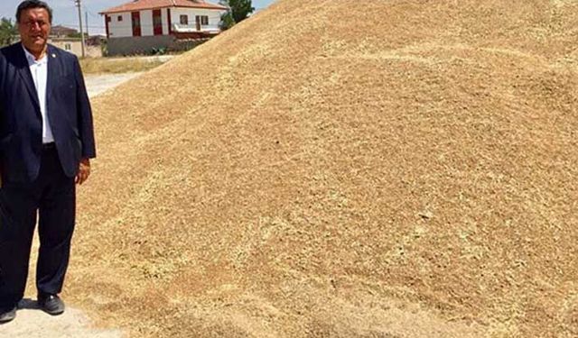 Çiftçi buğdayda bu yıl da zarar etti!