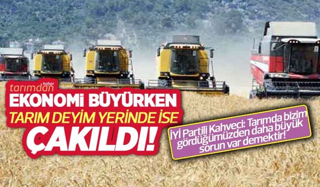 Ekonomi yüzde 11 büyüdü tarım sektörü yüzde 2.2 küçüldü! 